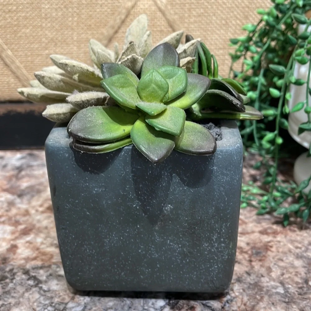 Faux succulents